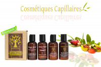 Cosmétiques capillaires