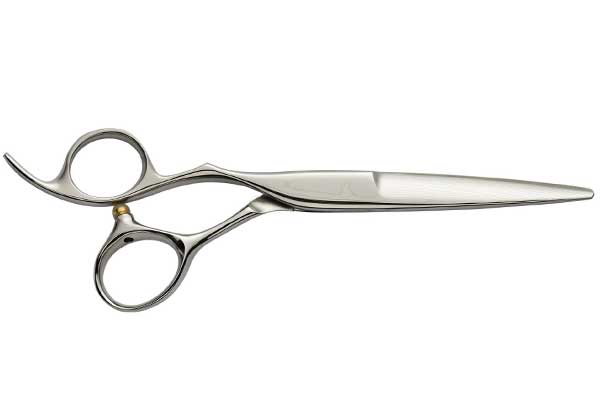 Ciseaux Leader Cam Ciseaux De Coiffure Leader Cam Passione Gaucher Materiel De Coiffure Ciseaux De Coiffure Com Hp Coiffure