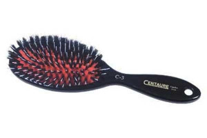 Brosse pneumatique Centaure