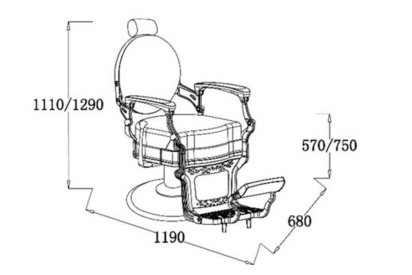 Fauteuil coiffure -Livraison gratuite